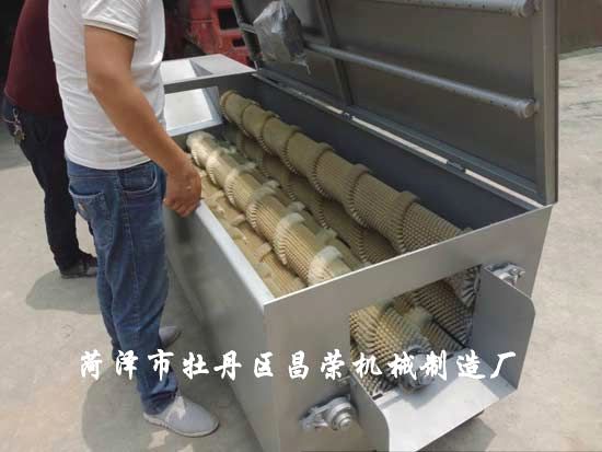 白萝卜清洗机